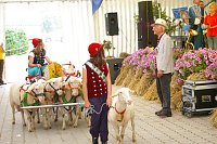 Bild: Bauernmarkt