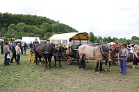 Bild: Bauernmarkt in Kallmerode