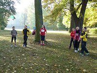 Bild: 18. Stadtparklauf