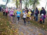 Bild: 18. Stadtparklauf