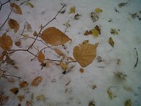 Bild: Herbst und Winter