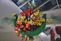 Bild: Fr&uuml;hling im "Ballhaus Peter"