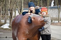 Bärenpark Bild: Bärenpark