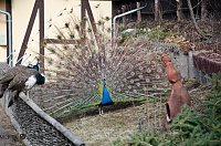 Bärenpark Bild: Bärenpark