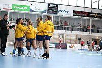 Bild: Tolles Spiel in der Wiedigsburghalle