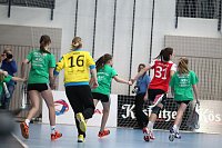 Bild: Tolles Spiel in der Wiedigsburghalle