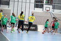 Bild: Tolles Spiel in der Wiedigsburghalle