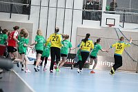 Bild: Tolles Spiel in der Wiedigsburghalle