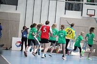 Bild: Tolles Spiel in der Wiedigsburghalle