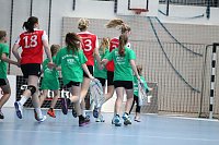 Bild: Tolles Spiel in der Wiedigsburghalle