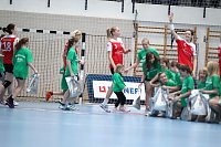 Bild: Tolles Spiel in der Wiedigsburghalle