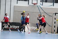 Bild: Tolles Spiel in der Wiedigsburghalle