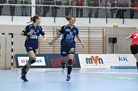 Bild: Tolles Spiel in der Wiedigsburghalle