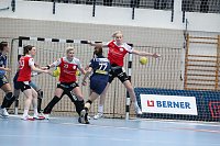Bild: Tolles Spiel in der Wiedigsburghalle