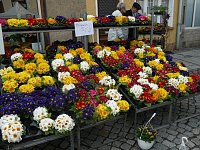 Frühlingsfest in Worbis Bild: Frühlingsfest in Worbis