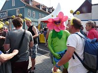Bild: Wie f&auml;llt Zwischenfazit aus?