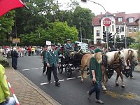 Bild: Weitere Bilder Festumzug (1)