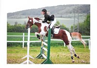 Bild: Toller Pferdesport auf der Forstfarm