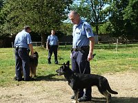 Bild: Polizeivorf&uuml;hrungen im Zeltlager der Johanniter