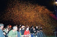 Bild: Emmenrausch 2013