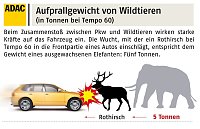Bild: Wildunf&auml;lle reduzieren