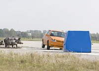 Bild: Wildunf&auml;lle reduzieren