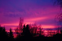 Bild: Rot am Morgen
