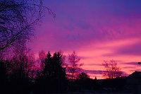 Bild: Rot am Morgen