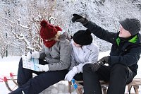 Bild: Volgelz&auml;hlung