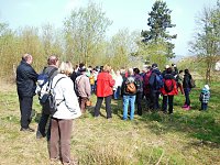 Bild: Wildkr&auml;uterwanderung im S&uuml;dharz