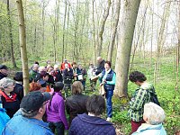 Bild: Wildkr&auml;uterwanderung im S&uuml;dharz