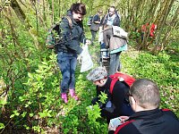 Bild: Wildkr&auml;uterwanderung im S&uuml;dharz