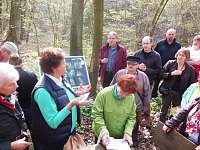 Bild: Wildkr&auml;uterwanderung im S&uuml;dharz