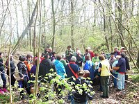 Bild: Wildkr&auml;uterwanderung im S&uuml;dharz