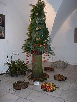 Geschichte des Weihnachtsbaumes Bild: Geschichte des Weihnachtsbaumes