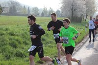 Bild: Impressionen vom Kyffh&auml;userberglauf 2014 (1)