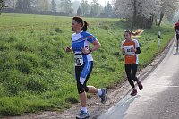 Bild: Impressionen vom Kyffh&auml;userberglauf 2014 (1)