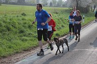 Bild: Impressionen vom Kyffh&auml;userberglauf 2014 (1)