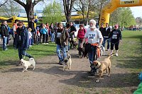 Bild: Impressionen vom Kyffh&auml;userberglauf 2014 (1)