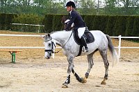 Bild: Reitturnier in Immenrode