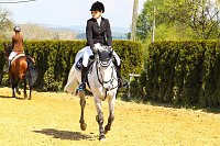 Bild: Reitturnier in Immenrode
