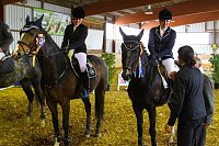 Bild: Reitturnier in Immenrode