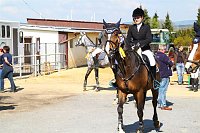 Bild: Reitturnier in Immenrode