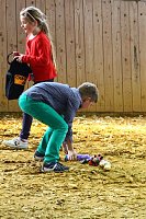 Bild: Reitturnier in Immenrode