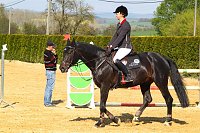 Bild: Reitturnier in Immenrode