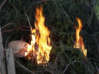 Bild: Osterfeuer Worbis