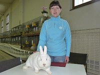 Bild: Rassekaninchenschau Kyffh&auml;userkreis