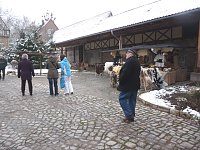 Bild: Rassekaninchenschau Kyffh&auml;userkreis