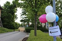 Bild: Lass die Sprache aus dem Sack