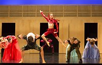Bild:  Ballettgala Theater Nordhausen